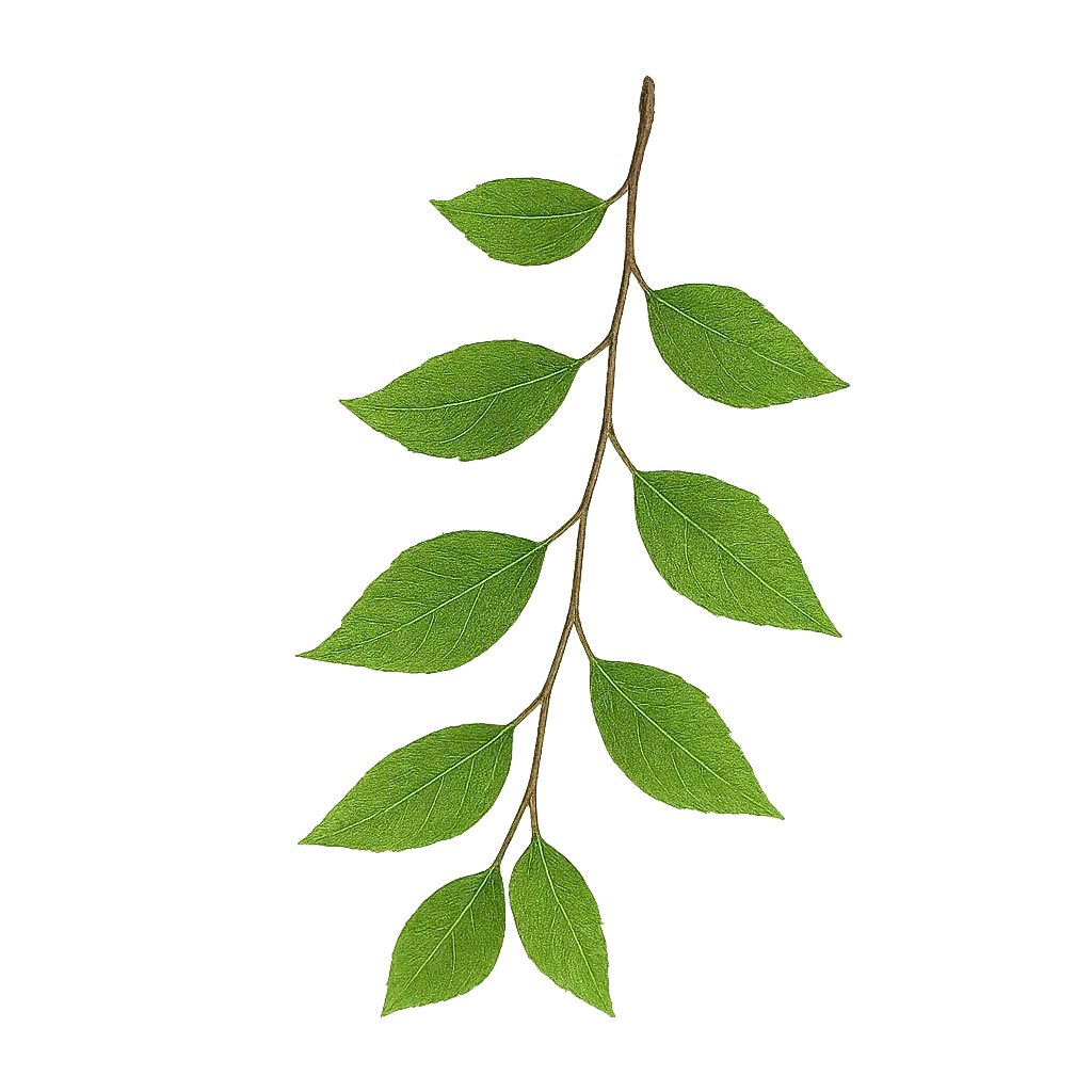 natural-tree-branch-nuwell Tree branch with green leaves, representing natural wellness for NuWellHealth website background