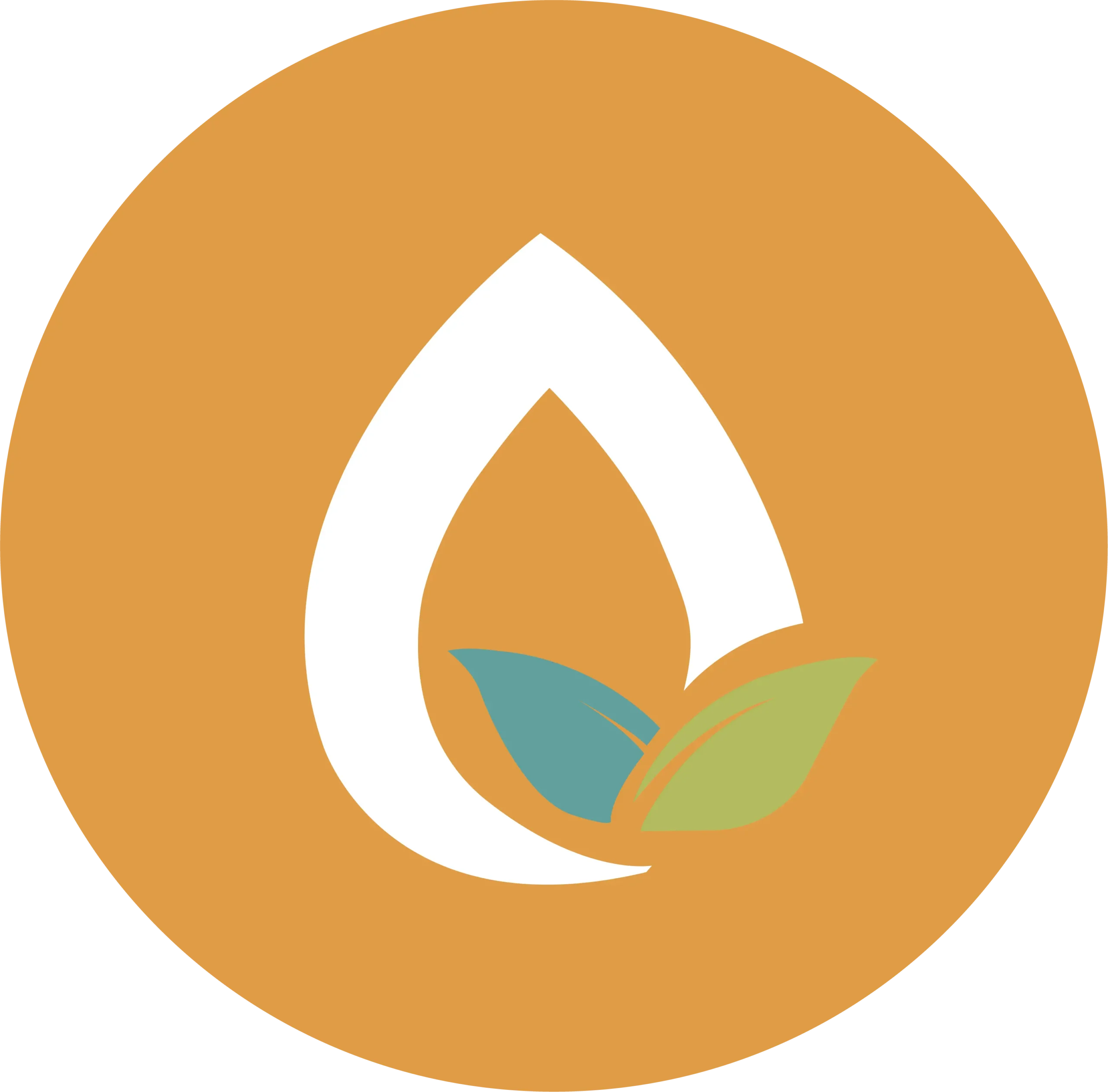 Nuwellhealth icon