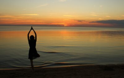 Alignment 101: Reconnecting Your Inner Self