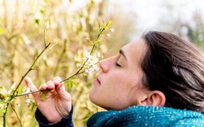 Pollen vs. Your Pantry: Best Home Remedies for Natural Allergy Relief