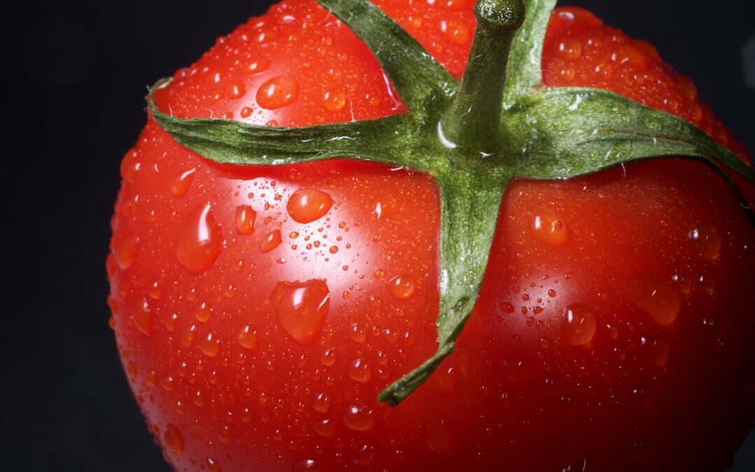 tomato allergy test