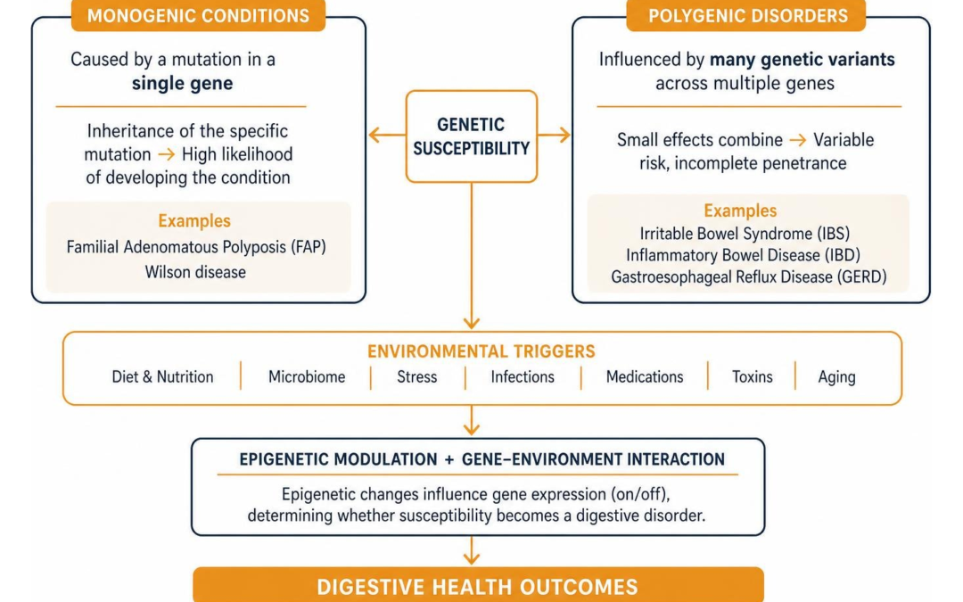 Diagram mapping monogenic versus polygenic digestive disorders and their interaction with environmental triggers