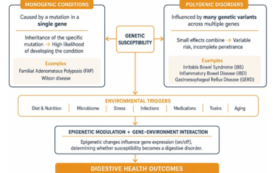 How Your Family History Impacts Your Overall Digestive Health