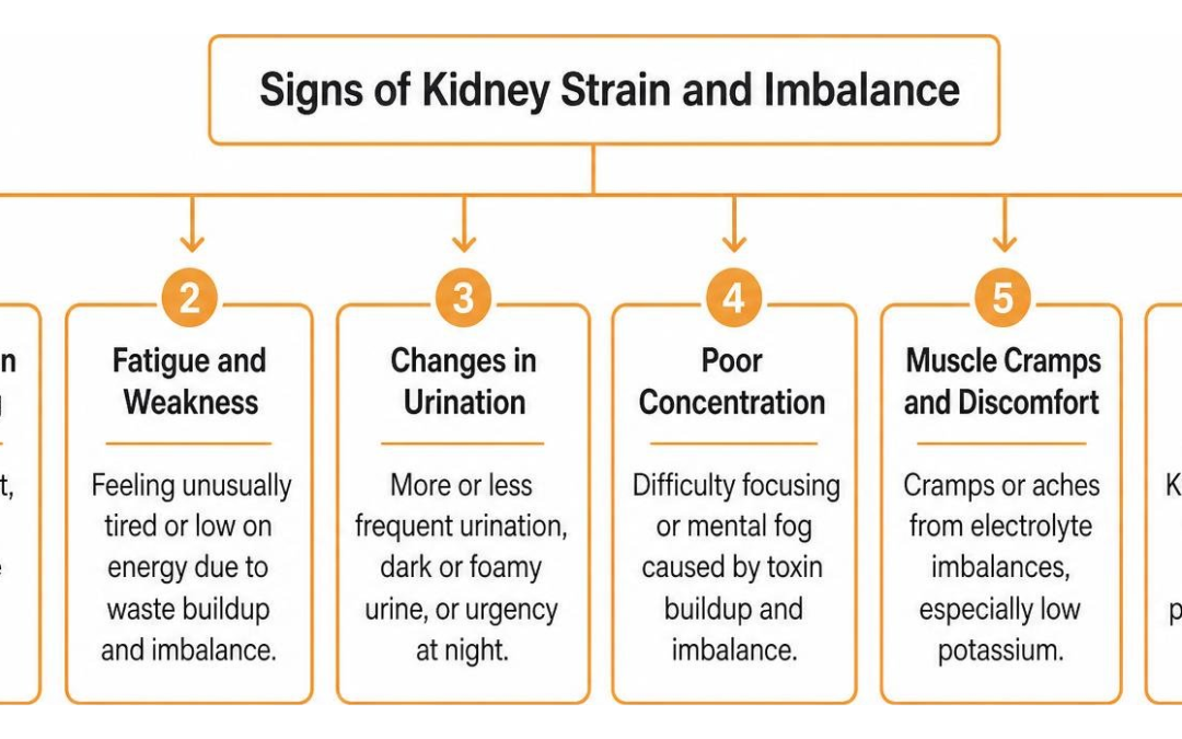 Signs of kidney strain and imbalance
